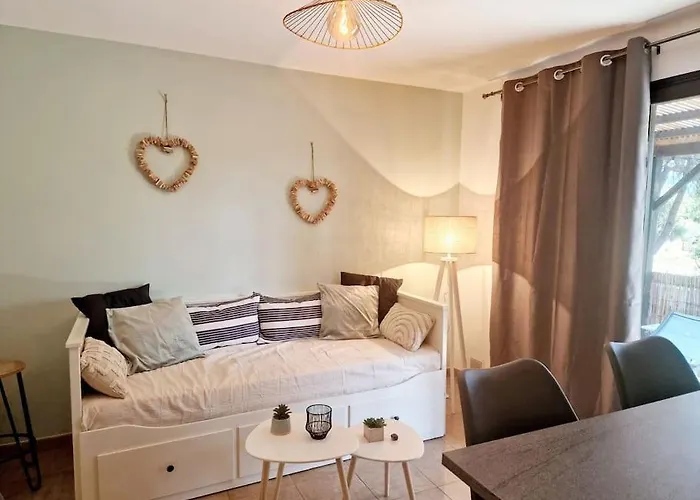 Apartamento Mini 70 - Piscine Chauffee Serra-di-Ferro (Corsica)